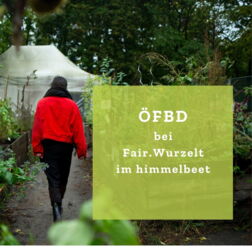 ÖFBD Stelle bei Fair.Wurzelt