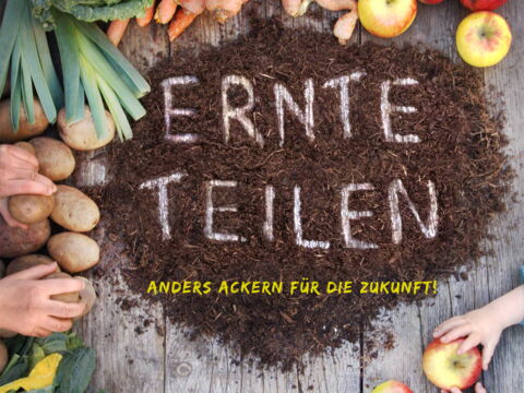 Obst, Gemüse, Hände und Erde