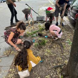 Kinder bepflanzen eine Baumscheibe
