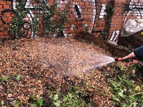 Wasser wird auf einen Kompost, bedeckt mit Blättern, gesprüht
