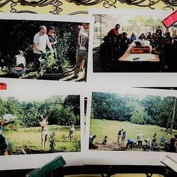 Ein Foto von 4 Polaroid-Bildern mit verschiedenen Szenen aus dem Kräutergarten. Die Polaroids sind mit Wäscheklammern auf Meteallfedern von einem Bett befestigt.
